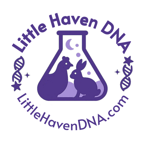Little Haven DNA
