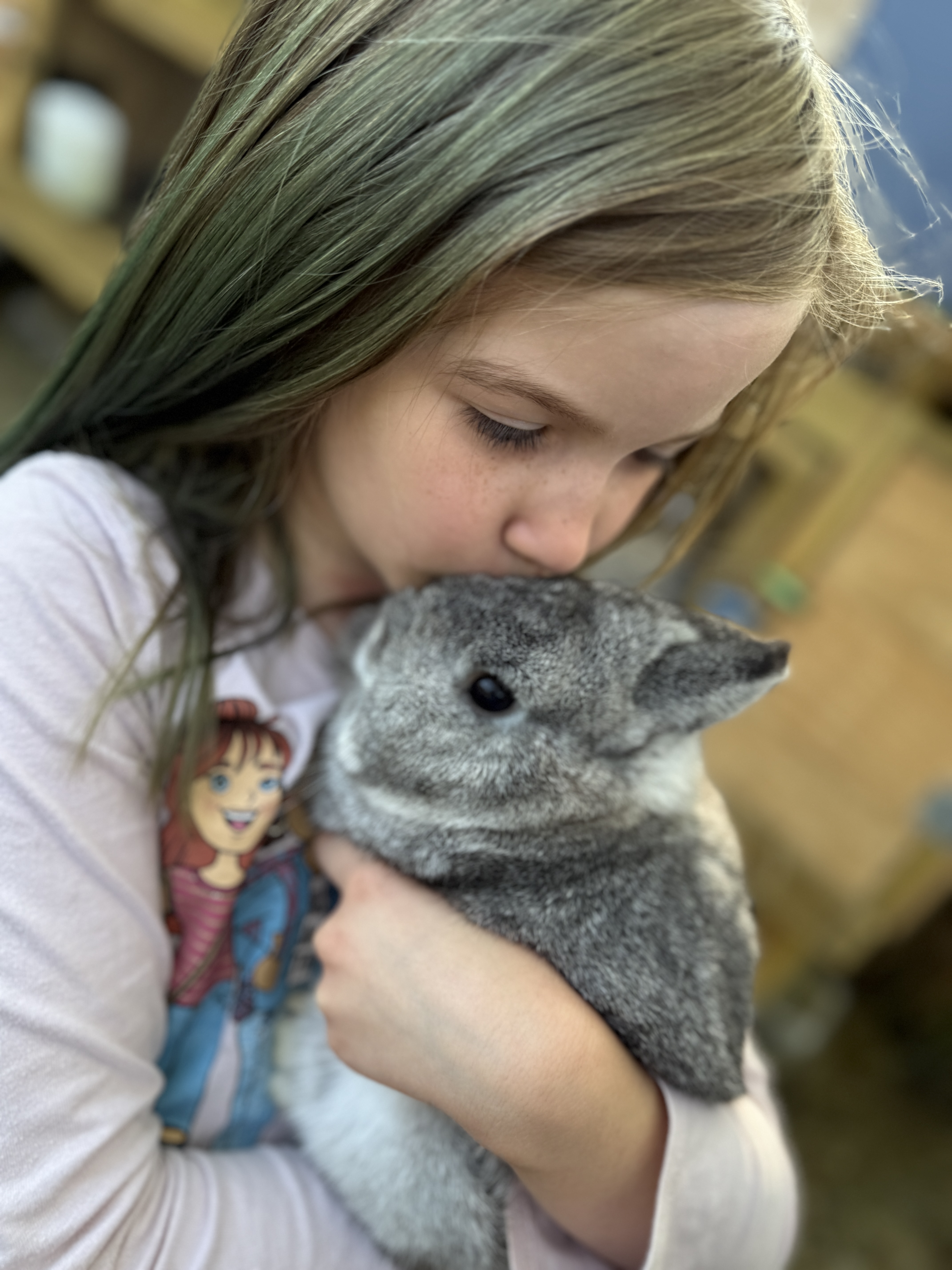 Snuggling Netherland Dwarf